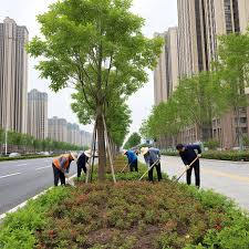 beat365 余姚园林绿化苗木价格市场价怎么询价